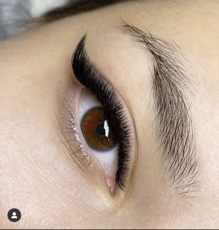 Black Eyelashes M Curl