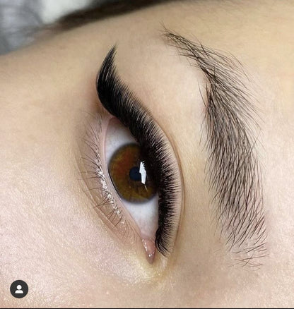 Black Eyelashes M Curl
