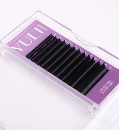 Black Eyelashes M Curl